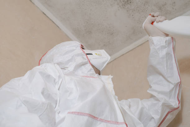 Best Crawl Space Mold Removal  in Nedrow, NY
